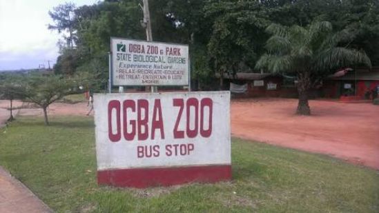 Press Release: FTAN condemns killing at Ogba zoo